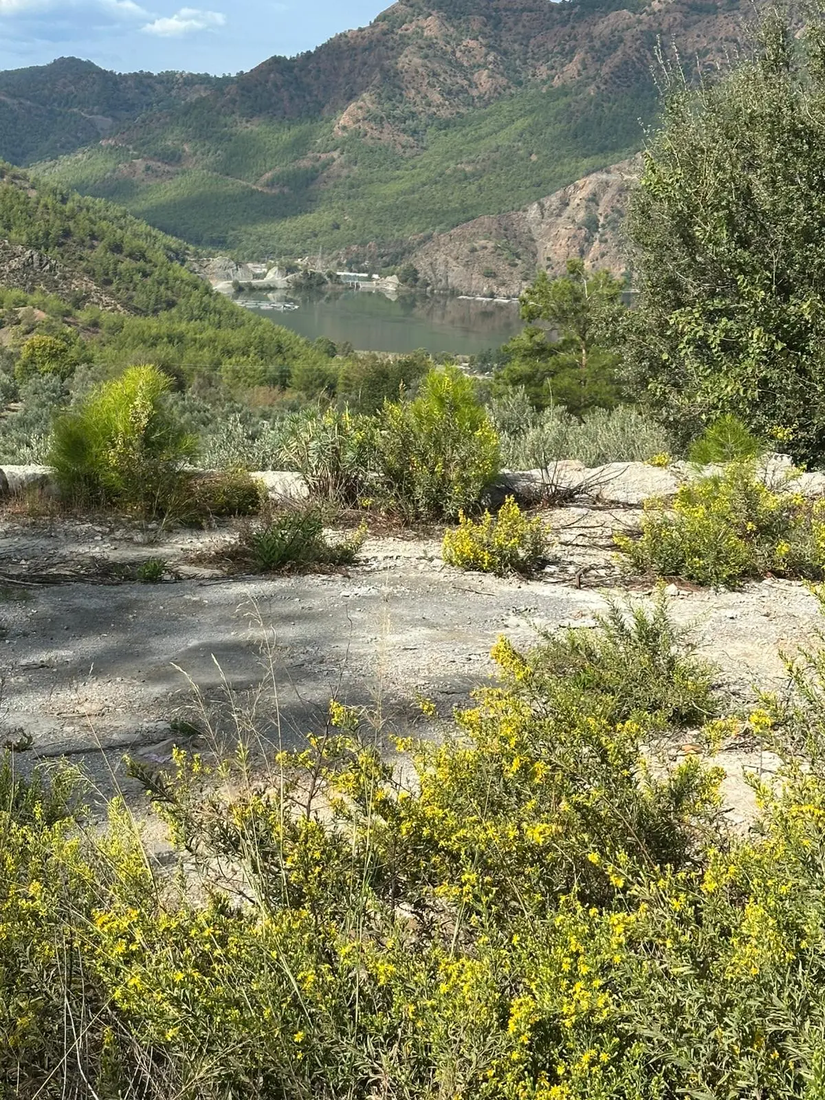 Land in Akkaya